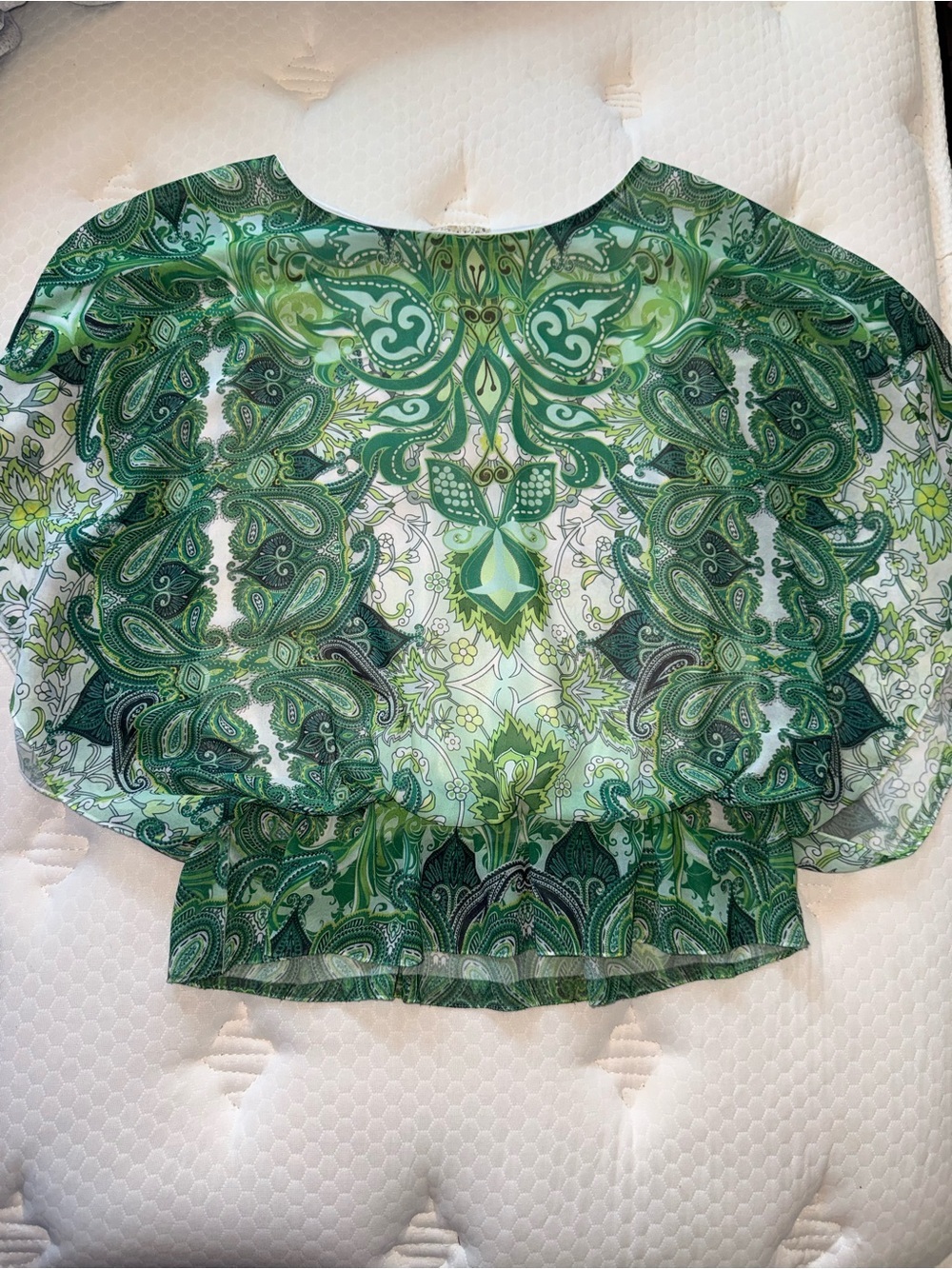 18. live and let live Green Paisley Sheer Blouse